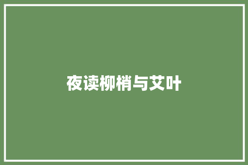 夜读柳梢与艾叶