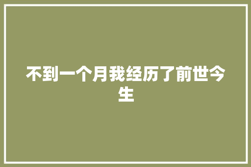 不到一个月我经历了前世今生