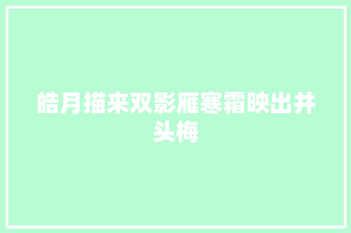 皓月描来双影雁寒霜映出并头梅