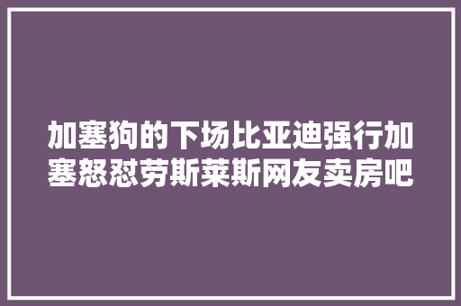 加塞狗的下场比亚迪强行加塞怒怼劳斯莱斯网友卖房吧