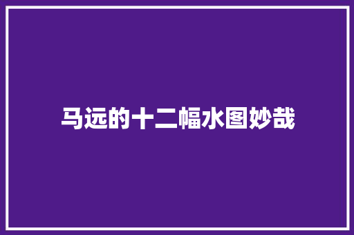 马远的十二幅水图妙哉
