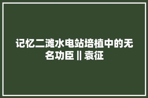 记忆二滩水电站培植中的无名功臣‖袁征