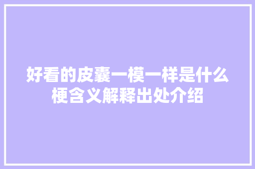 好看的皮囊一模一样是什么梗含义解释出处介绍