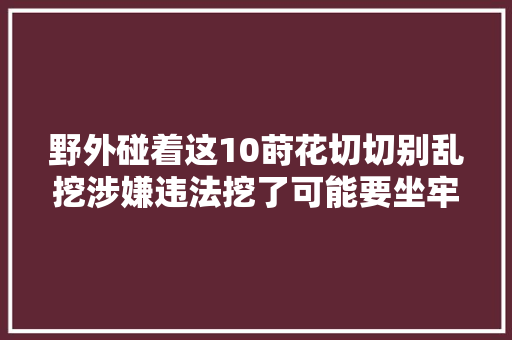 野外碰着这10莳花切切别乱挖涉嫌违法挖了可能要坐牢