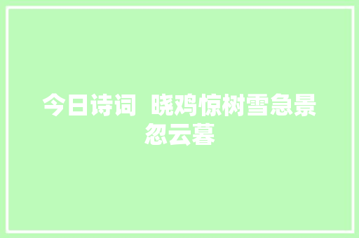 今日诗词  晓鸡惊树雪急景忽云暮