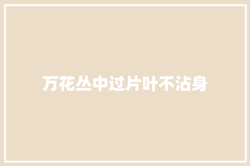 万花丛中过片叶不沾身