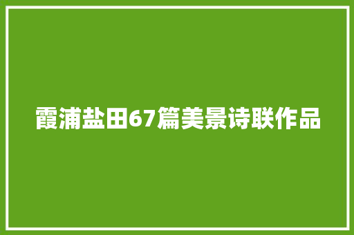 霞浦盐田67篇美景诗联作品