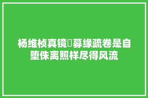 杨维桢真镜菴募缘疏卷是自堕侏离照样尽得风流