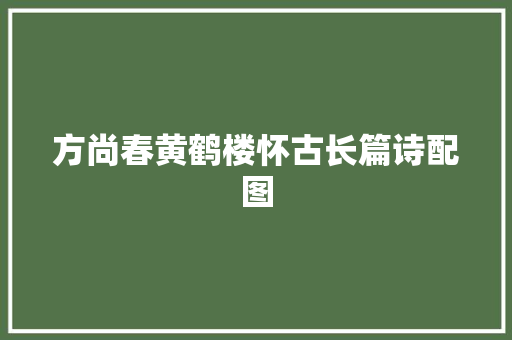 方尚春黄鹤楼怀古长篇诗配图