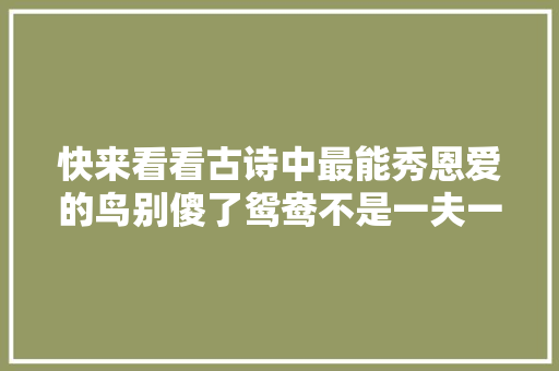 快来看看古诗中最能秀恩爱的鸟别傻了鸳鸯不是一夫一妻制