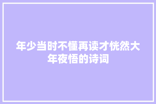 年少当时不懂再读才恍然大年夜悟的诗词