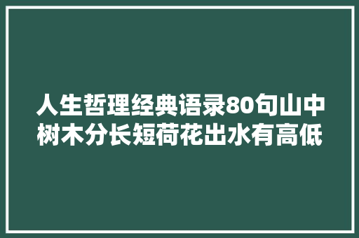 人生哲理经典语录80句山中树木分长短荷花出水有高低。