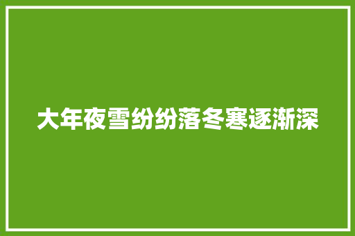 大年夜雪纷纷落冬寒逐渐深