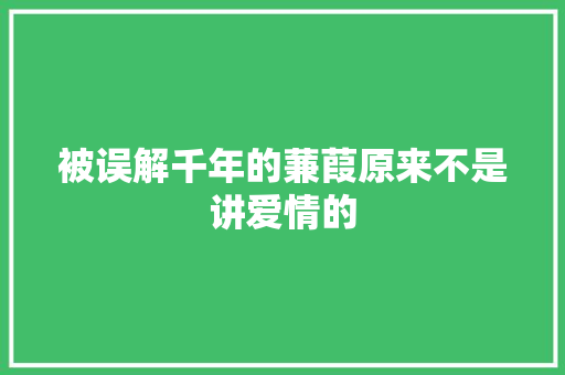 被误解千年的蒹葭原来不是讲爱情的