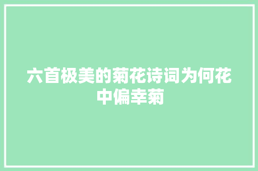六首极美的菊花诗词为何花中偏幸菊