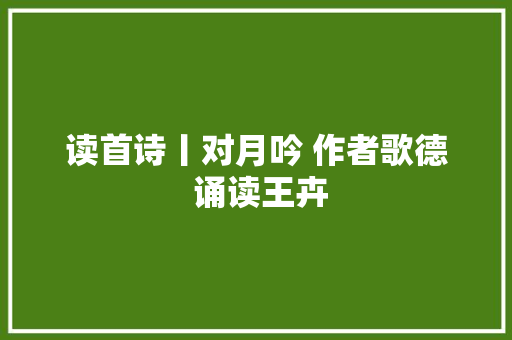 读首诗丨对月吟 作者歌德 诵读王卉