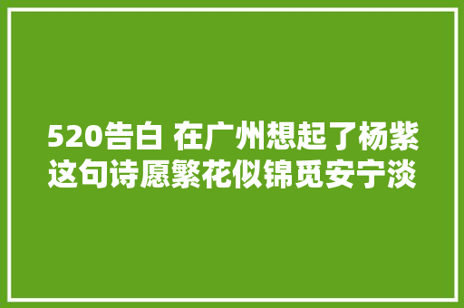 520告白 在广州想起了杨紫这句诗愿繁花似锦觅安宁淡云流…