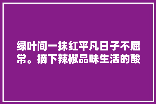 绿叶间一抹红平凡日子不屈常。摘下辣椒品味生活的酸甜苦辣