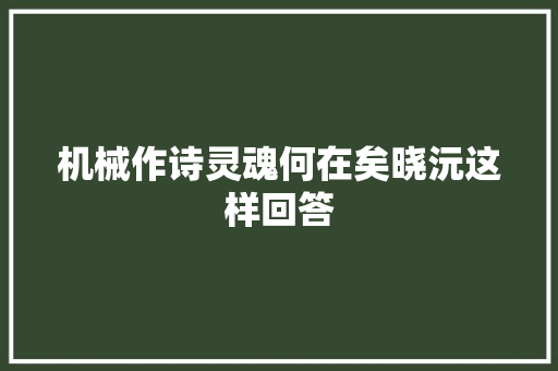 机械作诗灵魂何在矣晓沅这样回答