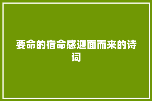 要命的宿命感迎面而来的诗词