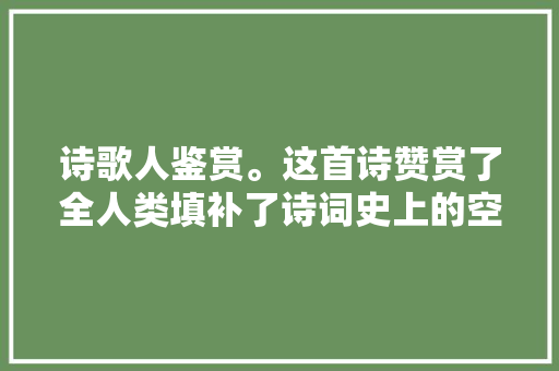 诗歌人鉴赏。这首诗赞赏了全人类填补了诗词史上的空白
