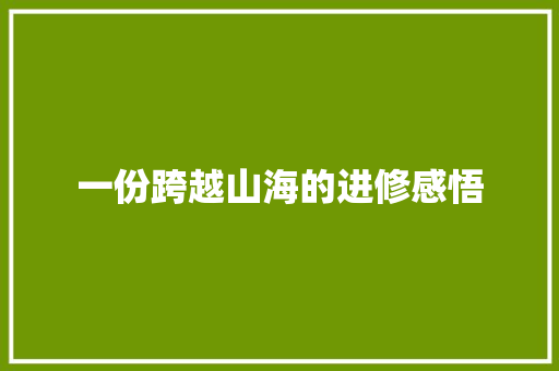 一份跨越山海的进修感悟