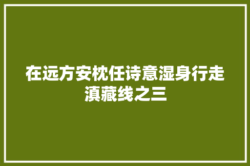 在远方安枕任诗意湿身行走滇藏线之三
