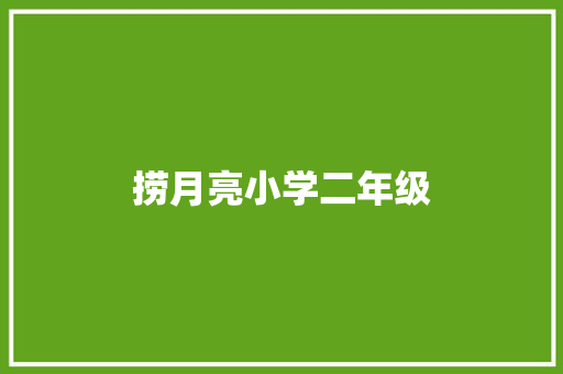 捞月亮小学二年级