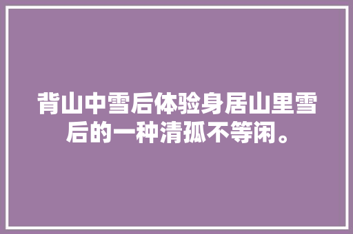 背山中雪后体验身居山里雪后的一种清孤不等闲。