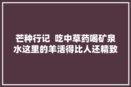 芒种行记  吃中草药喝矿泉水这里的羊活得比人还精致