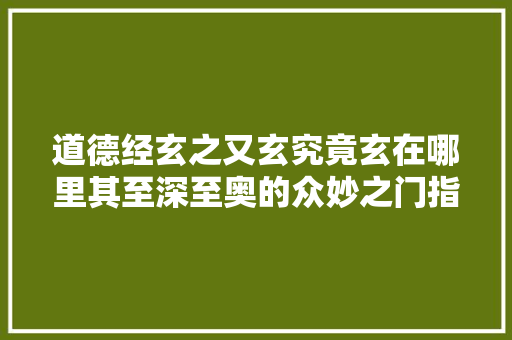 道德经玄之又玄究竟玄在哪里其至深至奥的众妙之门指的是什么