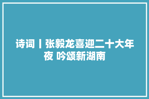 诗词丨张毅龙喜迎二十大年夜 吟颂新湖南