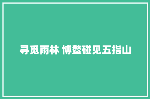 寻觅雨林 博鳌碰见五指山