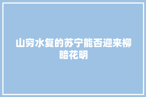 山穷水复的苏宁能否迎来柳暗花明