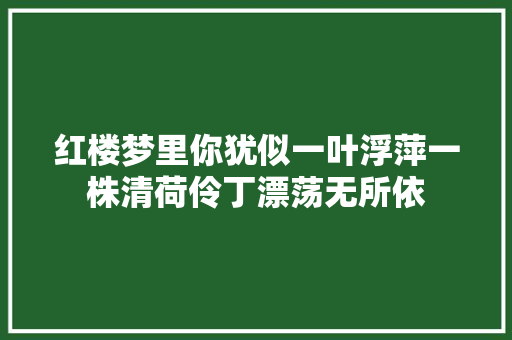 红楼梦里你犹似一叶浮萍一株清荷伶丁漂荡无所依