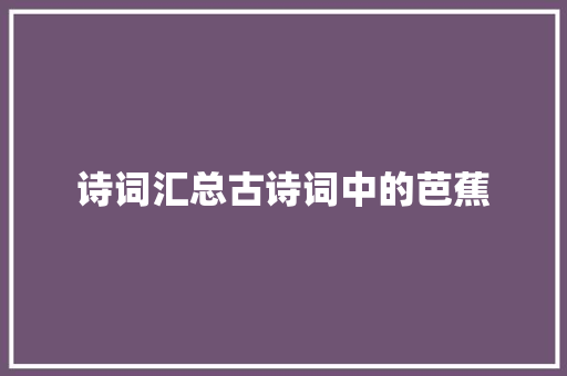 诗词汇总古诗词中的芭蕉