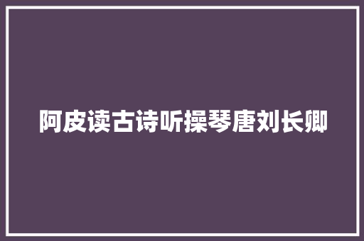 阿皮读古诗听操琴唐刘长卿