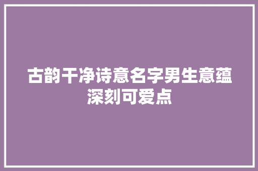 古韵干净诗意名字男生意蕴深刻可爱点