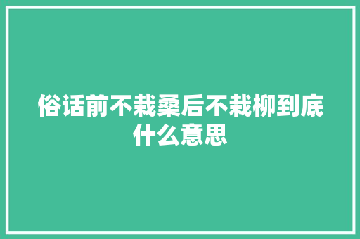 俗话前不栽桑后不栽柳到底什么意思