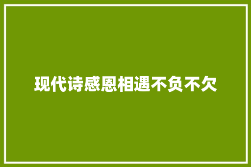 现代诗感恩相遇不负不欠