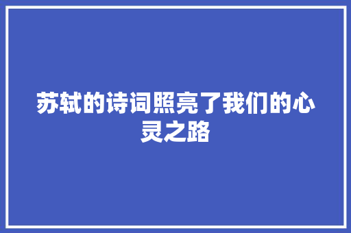 苏轼的诗词照亮了我们的心灵之路