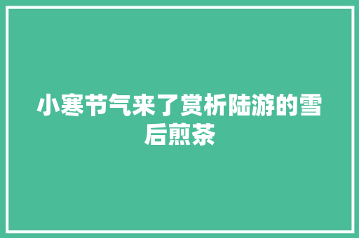 小寒节气来了赏析陆游的雪后煎茶