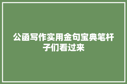公函写作实用金句宝典笔杆子们看过来