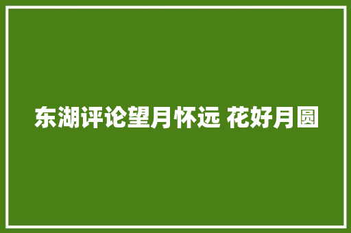 东湖评论望月怀远 花好月圆