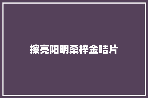 擦亮阳明桑梓金咭片