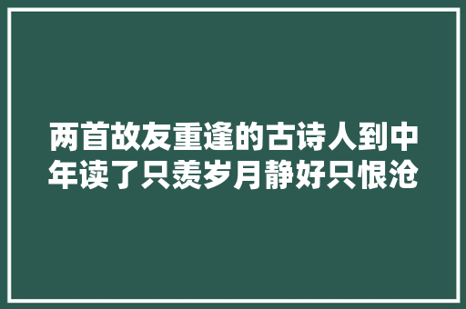 两首故友重逢的古诗人到中年读了只羡岁月静好只恨沧海桑田