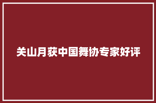 关山月获中国舞协专家好评