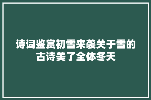 诗词鉴赏初雪来袭关于雪的古诗美了全体冬天