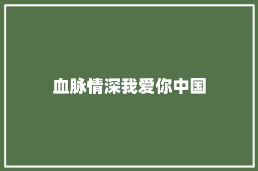 血脉情深我爱你中国