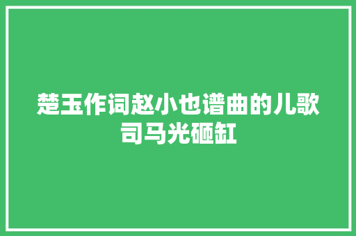 楚玉作词赵小也谱曲的儿歌司马光砸缸
